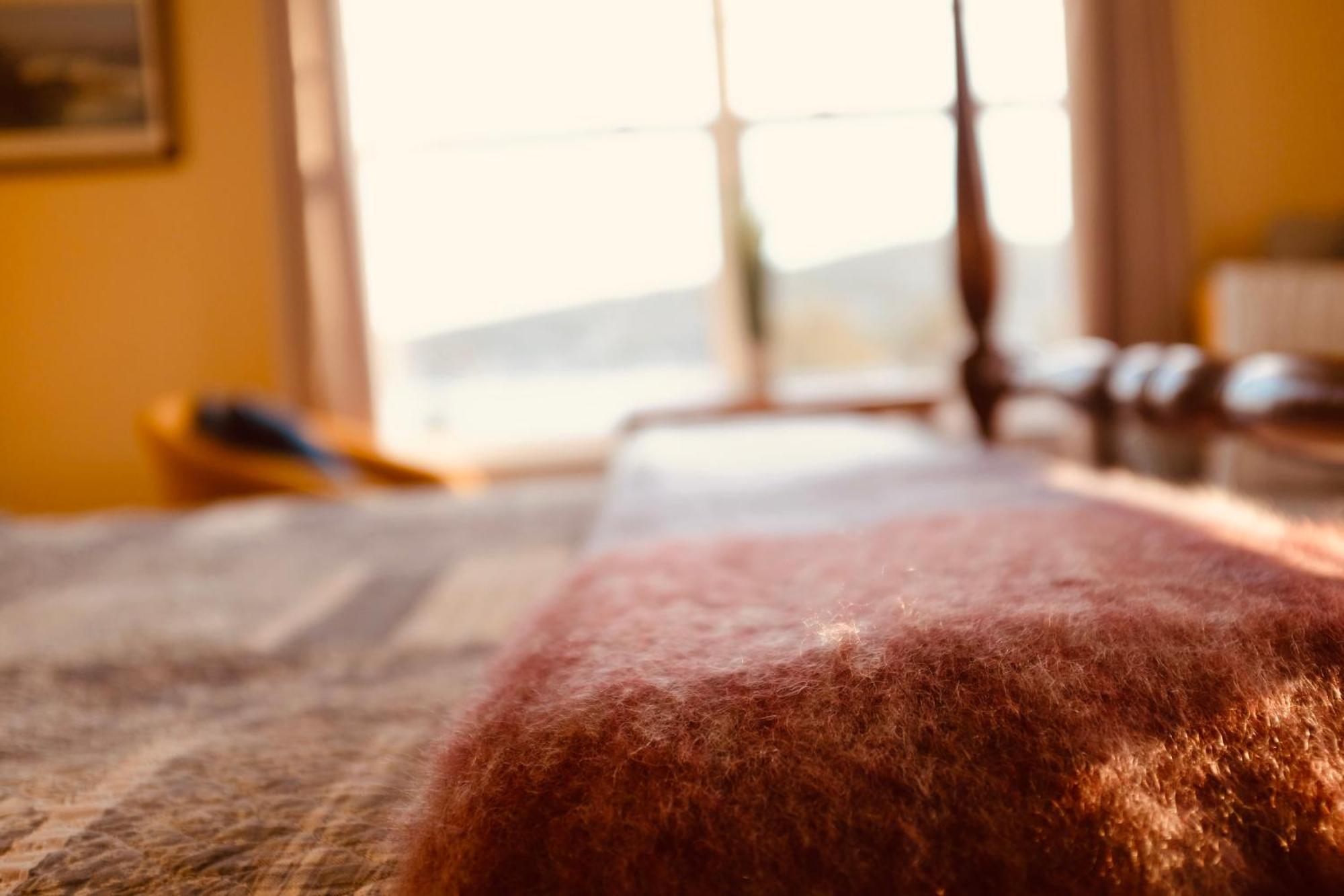 The Bread And Cheese Country Inn Bay Bulls Dış mekan fotoğraf